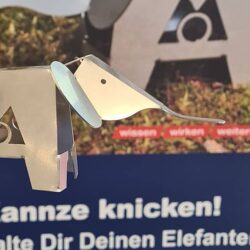 Berufe vor Ort, Kerpen