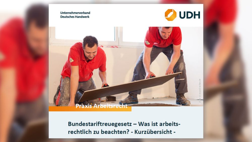 20260824UDHBundestariftreuegesetz